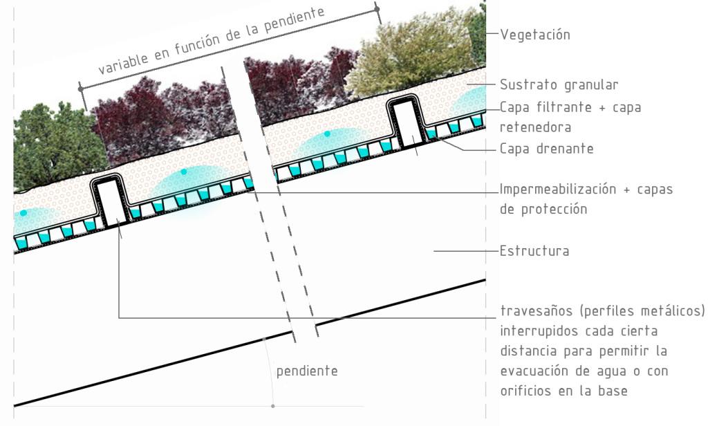 Cubierta vegetal: aspectos importantes del proyecto