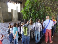 Nuevo curso en Ecuador de jardines verticales y cubiertas vegetales