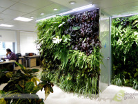 Conjunto de jardines verticales de interior para oficinas en Madrid